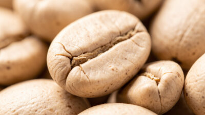 Pale dense light roast espresso beans showing tight nut-like structure