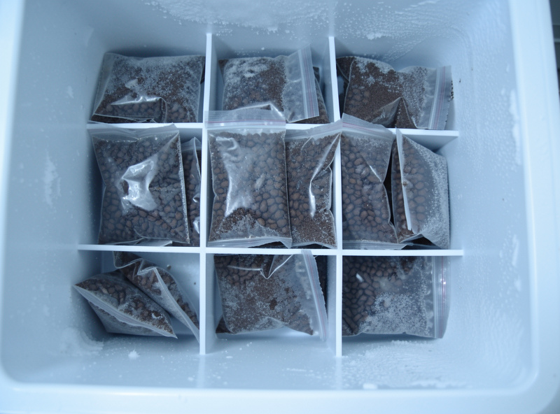 Small sealed bags of pre-weighed espresso bean doses arranged in a freezer drawer